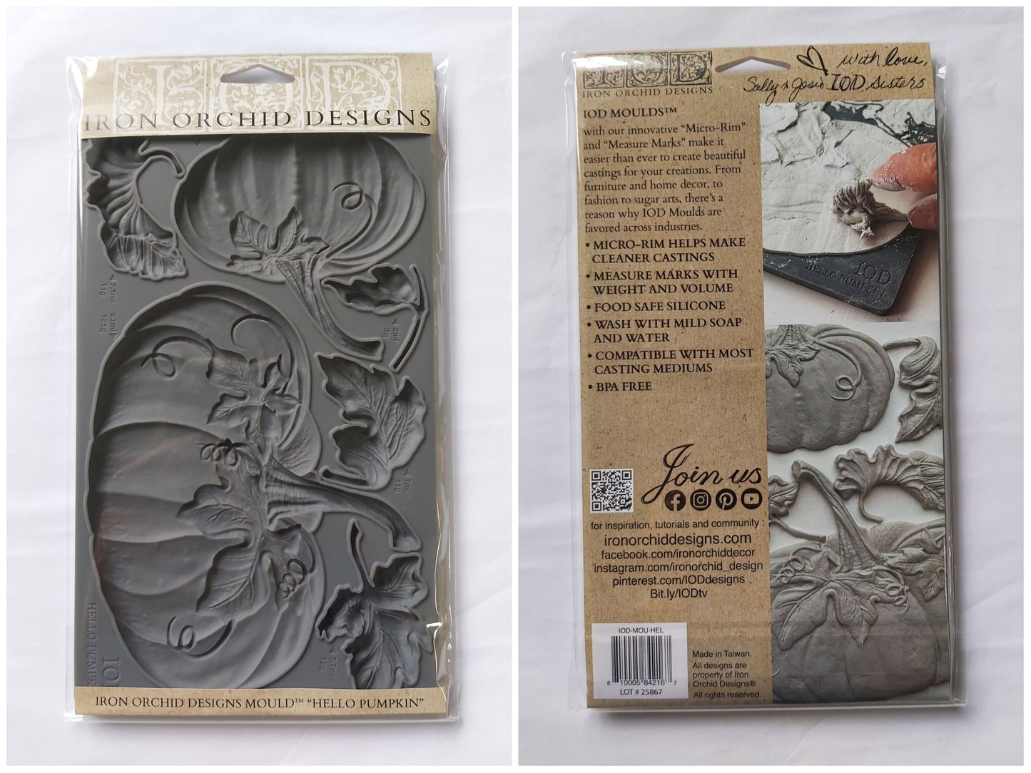 Hello Pumpkin Decor Mould