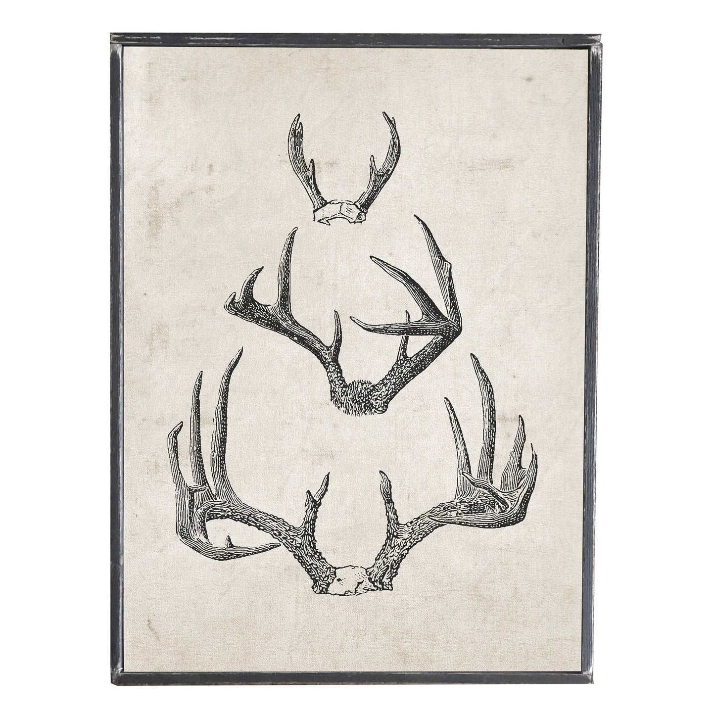 Vintage Print Winter Antlers