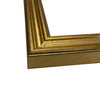 Brown Pelican Print Behind Glass in Gold Wood Frame