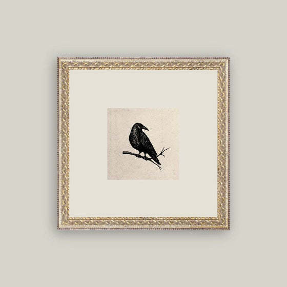 Crow Framed Print