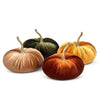 Large Velvet Pumpkin