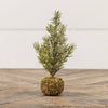 9.25" Pine Tree/ Moss Ball Base