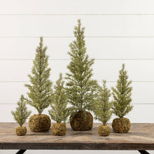  9.25" Pine Tree/ Moss Ball Base