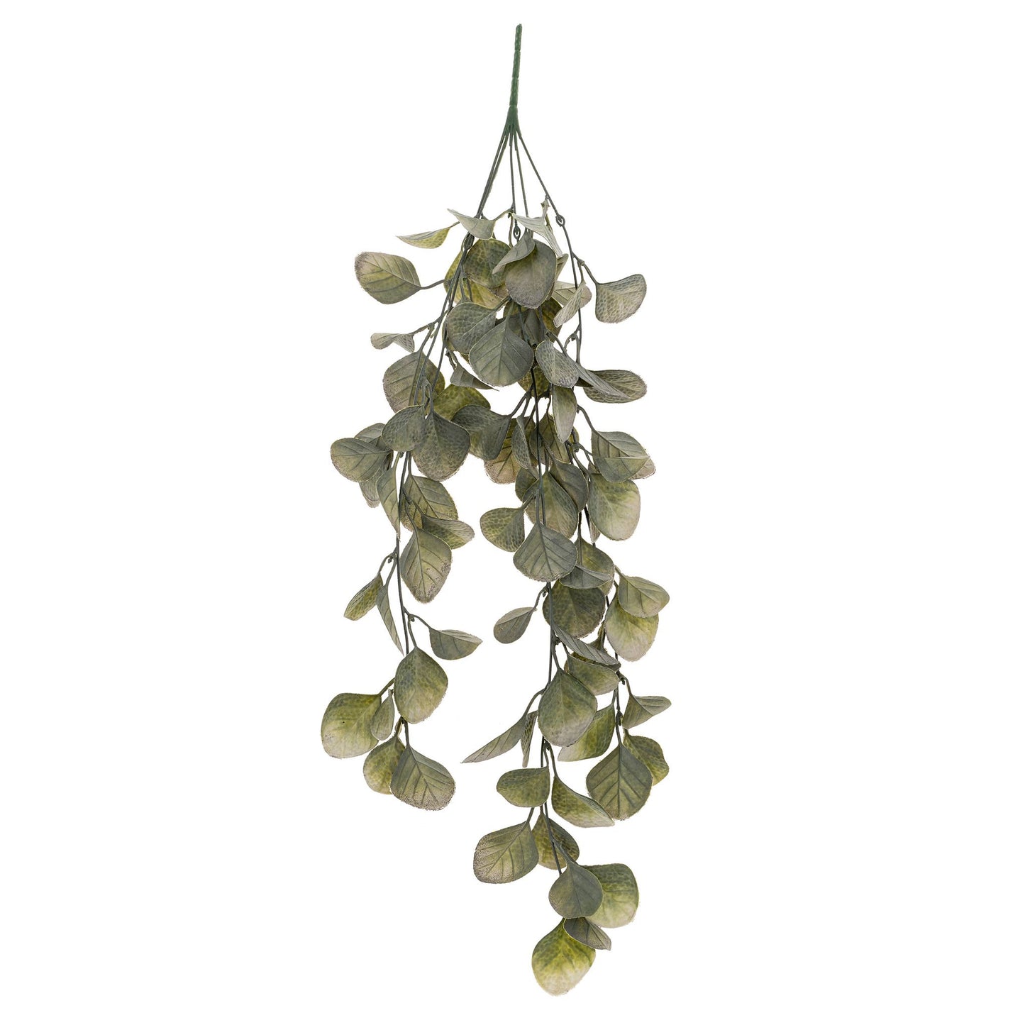 hanging eucalyptus plant real Trailing Eucalyptus Vine – Nestings Home Decor & Gifts Co