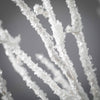 White Frosted Branch Spray