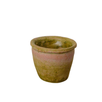 Small Mossy Terra Cotta Pot