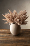 Pampas Grass Bundle