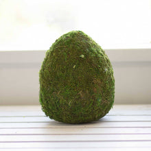  Moss Egg Decor