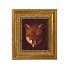  Sly Fox Head by Reinagle Framed Oil Painting Print on Canvas