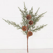  Cedar with Birch Cones Pick