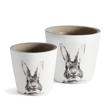  Rabbit Pots