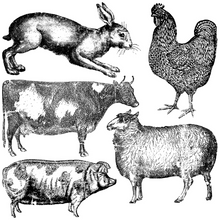  Farm Animals Decor Stamp™
