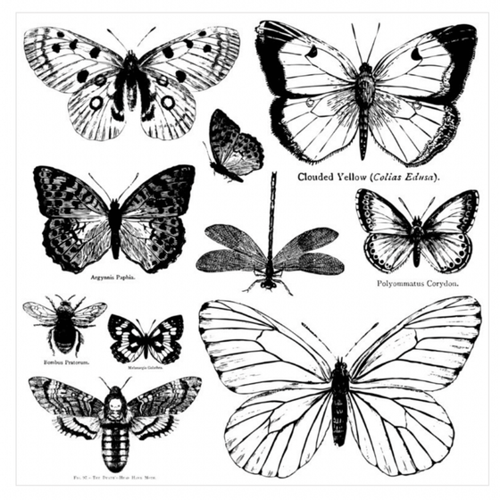 Butterflies Decor Stamp™