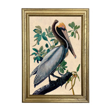  Brown Pelican Print Behind Glass in Gold Wood Frame